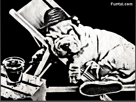 Linny113's profile picture. 