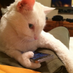 Gabriel.C :3 (@gabrielcclemon) Twitter profile photo Gabriel.C :3 (@gabrielcclemon) Twitter profile photo