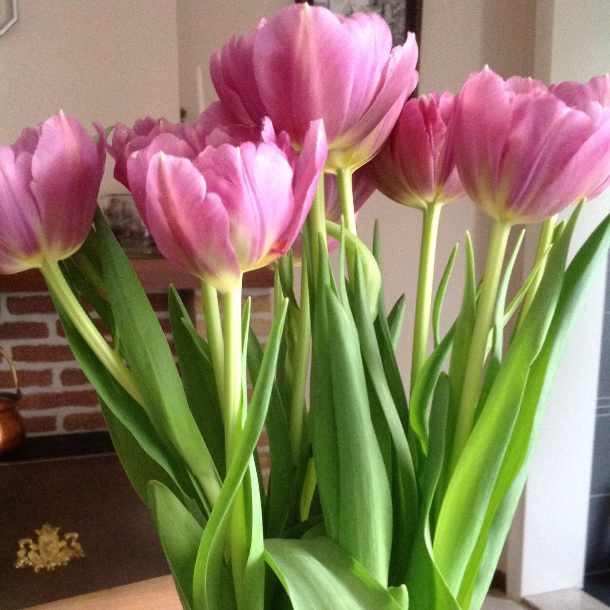 jaakfrieda's profile picture. 