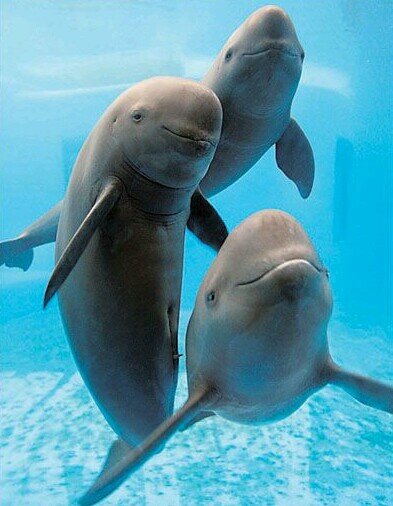 memorytree0714's profile picture. 역설을 역설하고 싶은 사람