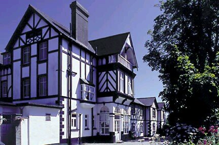 Rosemullion's profile picture. 