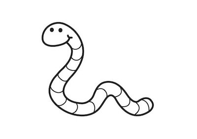 Worms & Insects, fresh or freezedried