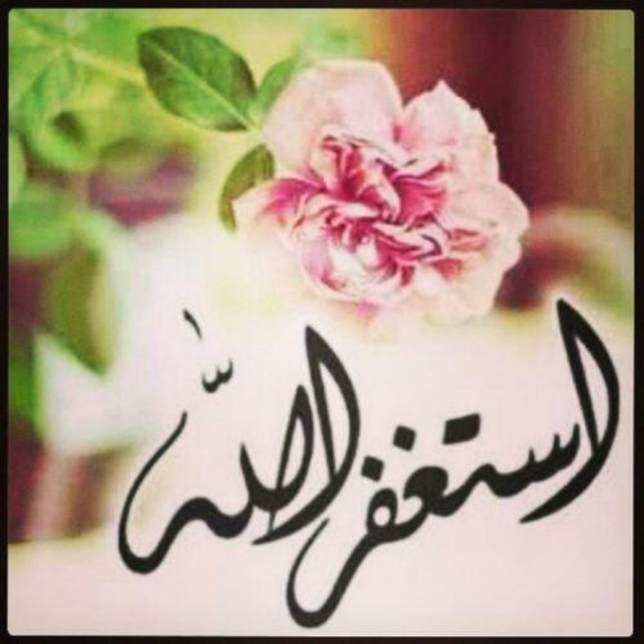 منؤعآت گل شيء♡♡