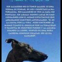 GALGUERO con ORGULLO (@alexpego26) Twitter