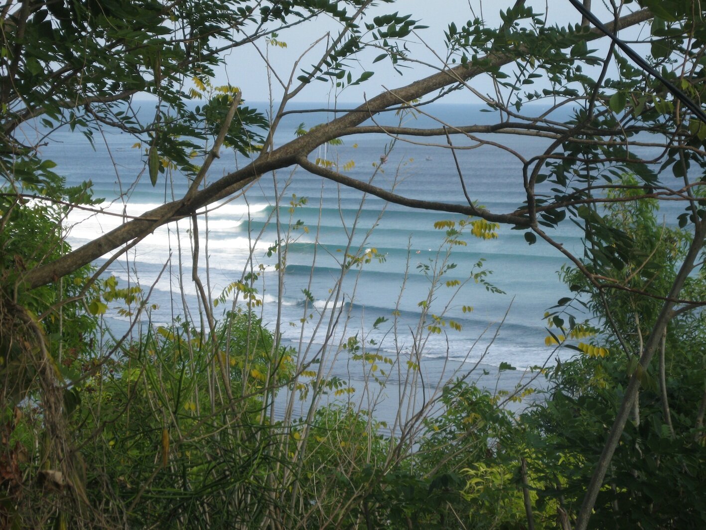 gosaints55's profile picture. 