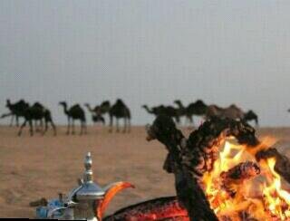فولو هنا @saeedan_h
