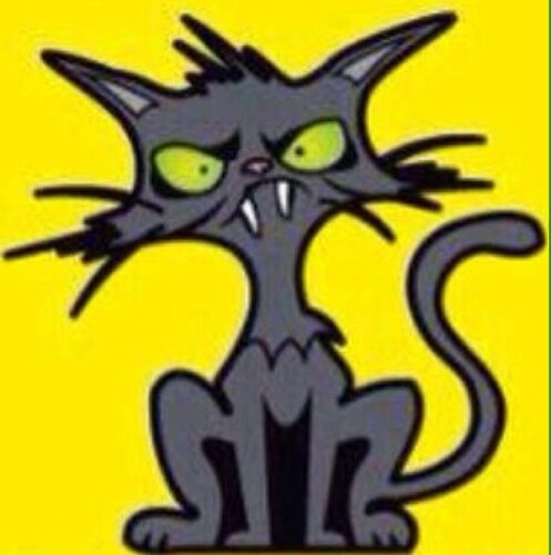 mushahat's profile picture. All about InfoSec

*I do background check