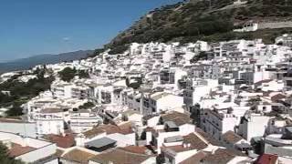 nintmsdjulpai's profile picture. 