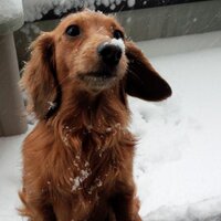 okunoemi (@okunoemi28) 's Twitter Profile Photo okunoemi (@okunoemi28) 's Twitter Profile Photo
