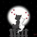 cindy johnstone - @cindyjohnstone1 - Twitter