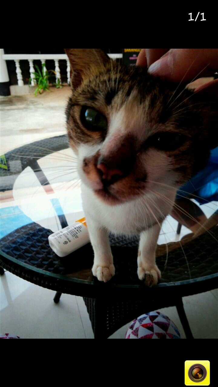 paran0342's profile picture. 