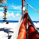 Peggy Stone - @peggystone66 - Twitter