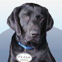 Gordon - @GordonDoc - Twitter