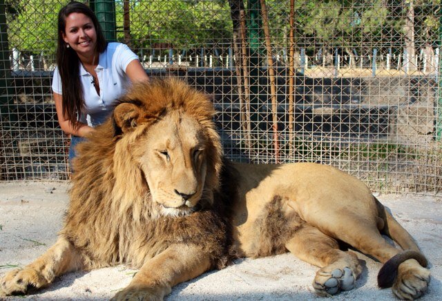 fabmedgon's profile picture. Ing. Telecomunicaciones. Ecologista desde mi nacimiento y protectora de ello. Amante del vino, el baile y la buena comida.