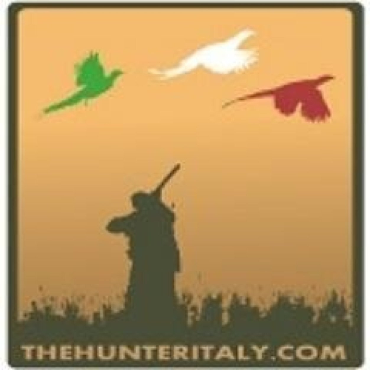 http://t.co/Am024PexLD - il Forum ufficiale italiano di theHunter - Guide - Supporto Tecnico - Multiplayer - Competizioni