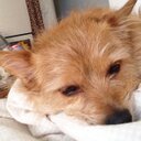 Susan Arena - @ArenaSusan0961 - Twitter