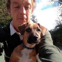 Tim McGovern (@herdingbats) 's Twitter Profile