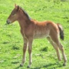 mir_dek's profile picture. Добрый и жизнерадостный (когда с деньгами и трезвый) #спорт #степь #юмор #автомобиль #охота #друзья