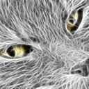 danilo vergara - @danilovergara11 - Twitter