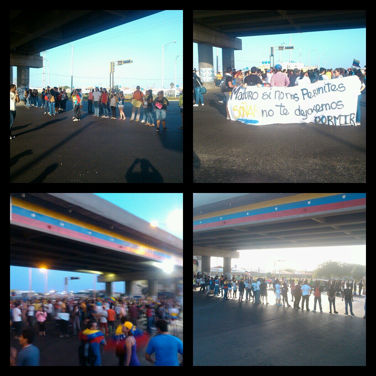 marchaspntofijo's profile picture. 