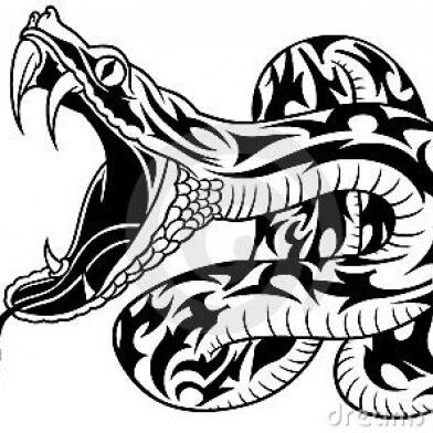 KOBRAPortugal's profile picture. 