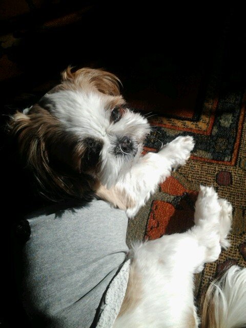 ljy0928's profile picture. 