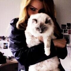 Niall____1's profile picture. Cuenta espical para la princesa de Niall ,porque todas somos sus princesas , aqui incontraras Imagina,Hechos y mucha info de Niall y _____ PD:Gracias