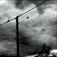 Laurie (@lauriesusername) 's Twitter Profile Photo Laurie (@lauriesusername) 's Twitter Profile Photo