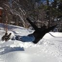 Taylor Vann - @taytayvann - Twitter