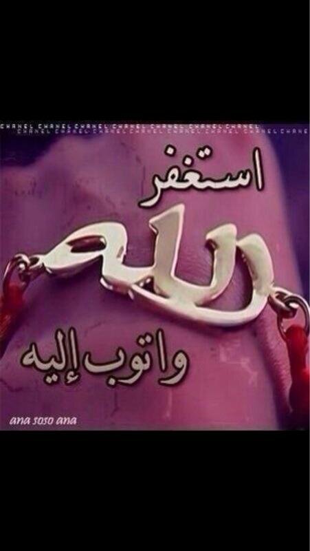 ‏‏‏‏‏‏‏‏‏‏‏محب التواصل والتعارف