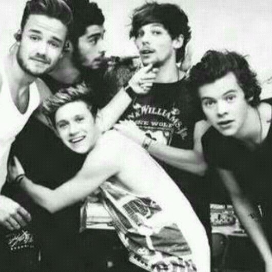 thank you so much one direction :-) directioner is a promise 3
