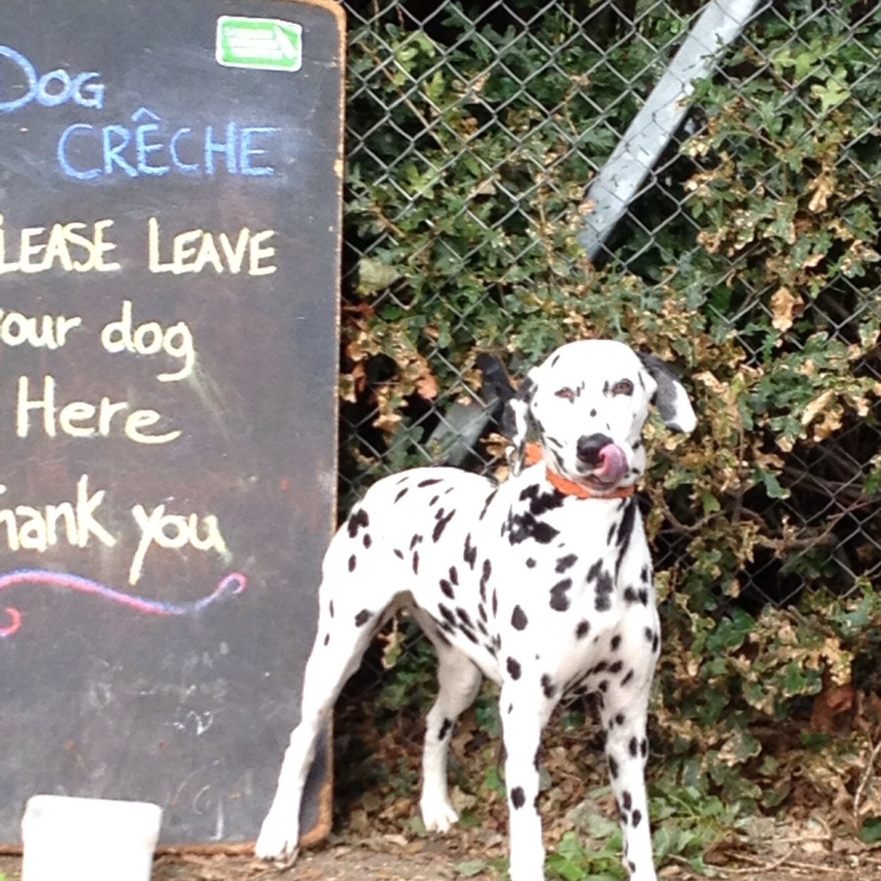 AntheaSieveking's profile picture. 