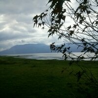 Maura (@iriartemaura) 's Twitter Profile