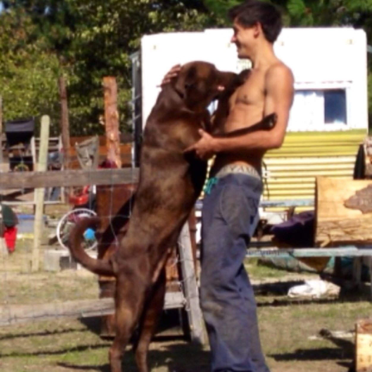 JF_Perron's profile picture. hier jme suis fait un bon steak