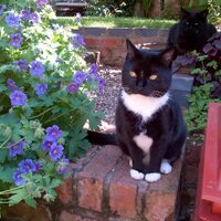 Jane Owens (@janiemco) 's Twitter Profile Photo