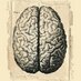 VirtualMarioArchila 💉💉 😷 🧠 ☕ 🤖 (@virtualmario) Twitter profile photo VirtualMarioArchila 💉💉 😷 🧠 ☕ 🤖 (@virtualmario) Twitter profile photo