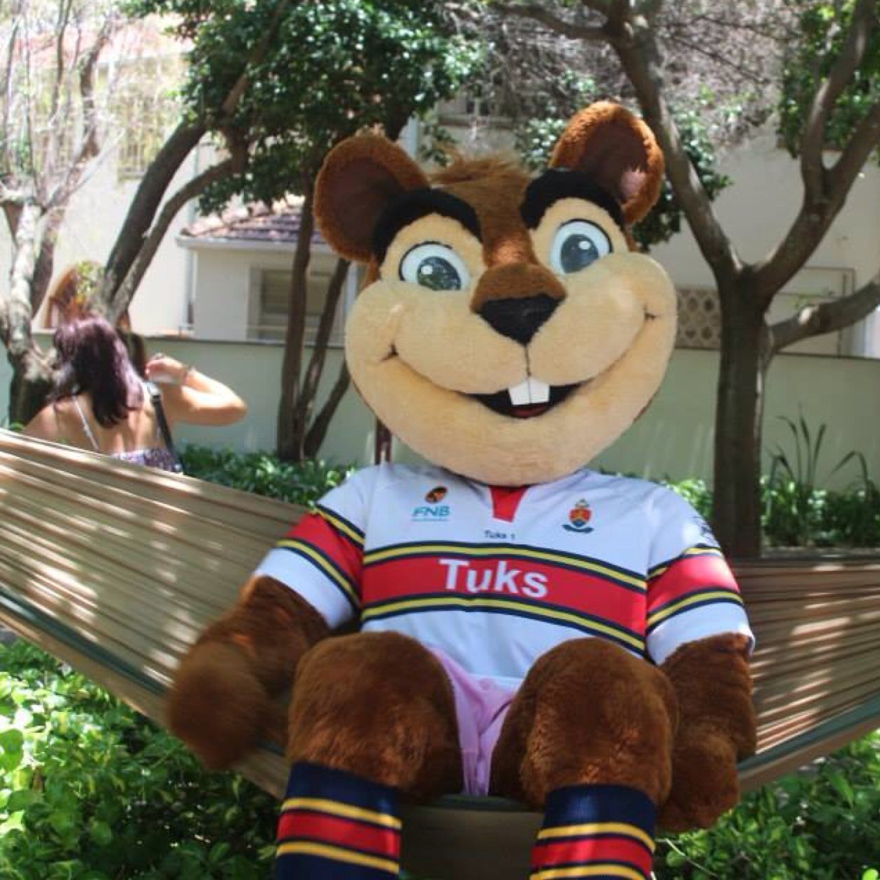 ChippiTukkies's profile picture. 