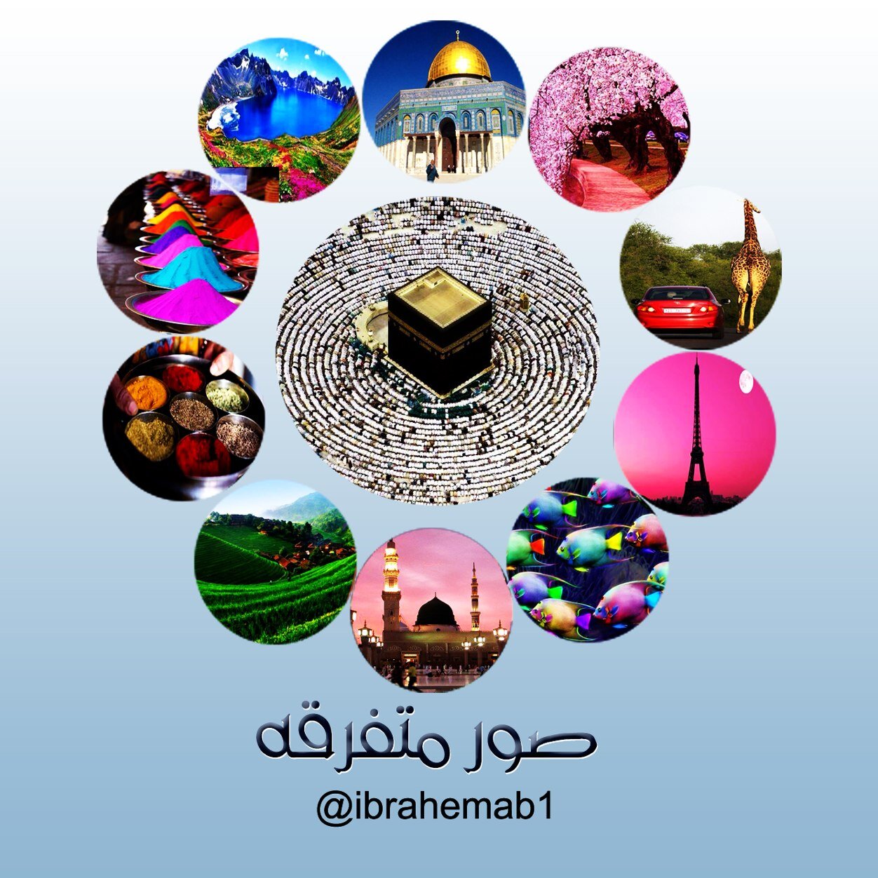 ibrahemab1 Profile Picture