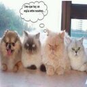 Luisa Falcon Garcia - @LuisaFalconGarc - Twitter