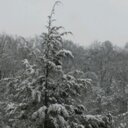 Pam harwell - @bammaw77 - Twitter