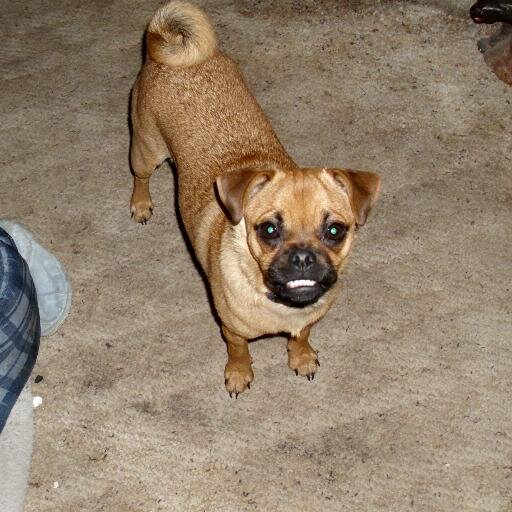 JodyRock2's profile picture. 