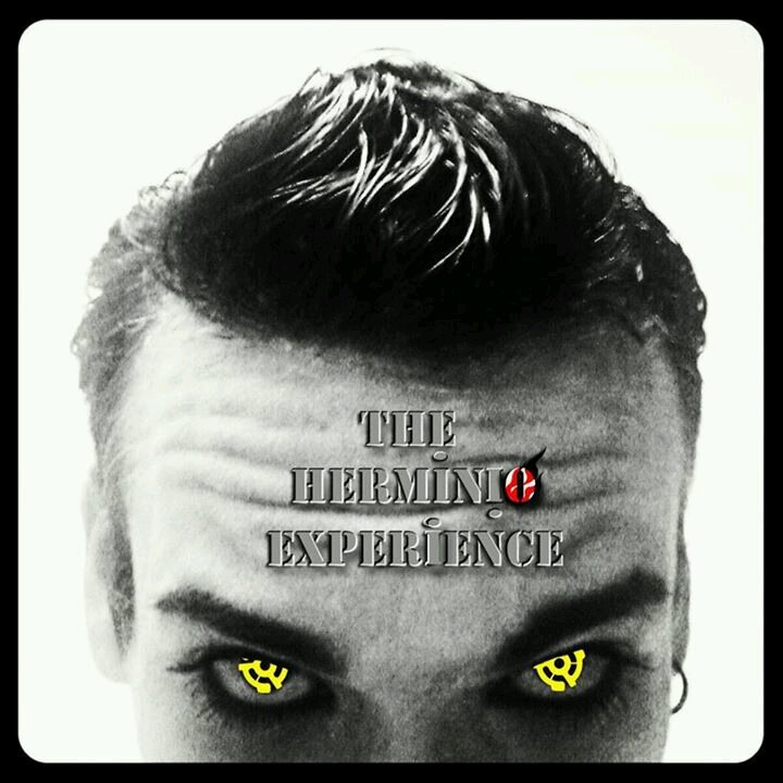 Welcome to The Herminio Experience (T.H.E.)