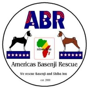 A 501C3 rescue for Basenji and Shiba Inu. We also provide sanctuary for elder and special need Basenji and Shiba that will never be adopted
