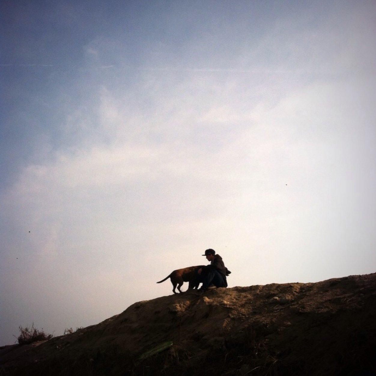 chemtrail559's profile picture. Getting to the bottom of the chemical attacks on american citizens .