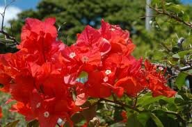 gtmssmaulasel's profile picture. 