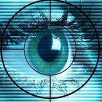 Florida Investigator (@fla_privateeye) 's Twitter Profile