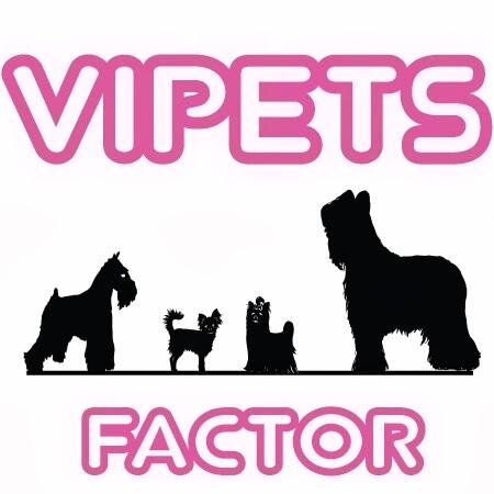 Best Mobile Dog Groomer in St George,UT Serving most of Southern Utah. Call, Text or Email to schedule your appointment today!305-300-5293 vipetsfactor@live.com