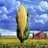 Habash_Corn's profile image