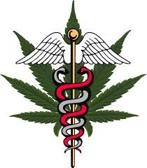 Networking Growers, Clubs and Patients Statewide