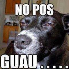 kinolock's profile picture. 